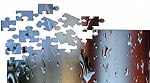 Wellness Puzzle