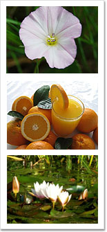 Wellness - Wellness Wochenende - Wellness Kurzurlaub